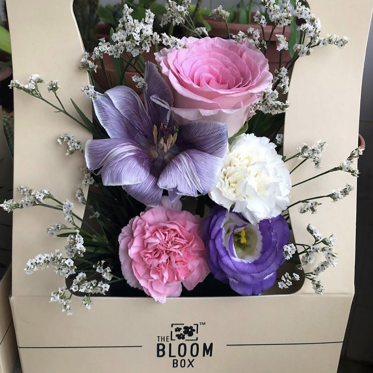 Blim Box Reviews – The Bloom Box