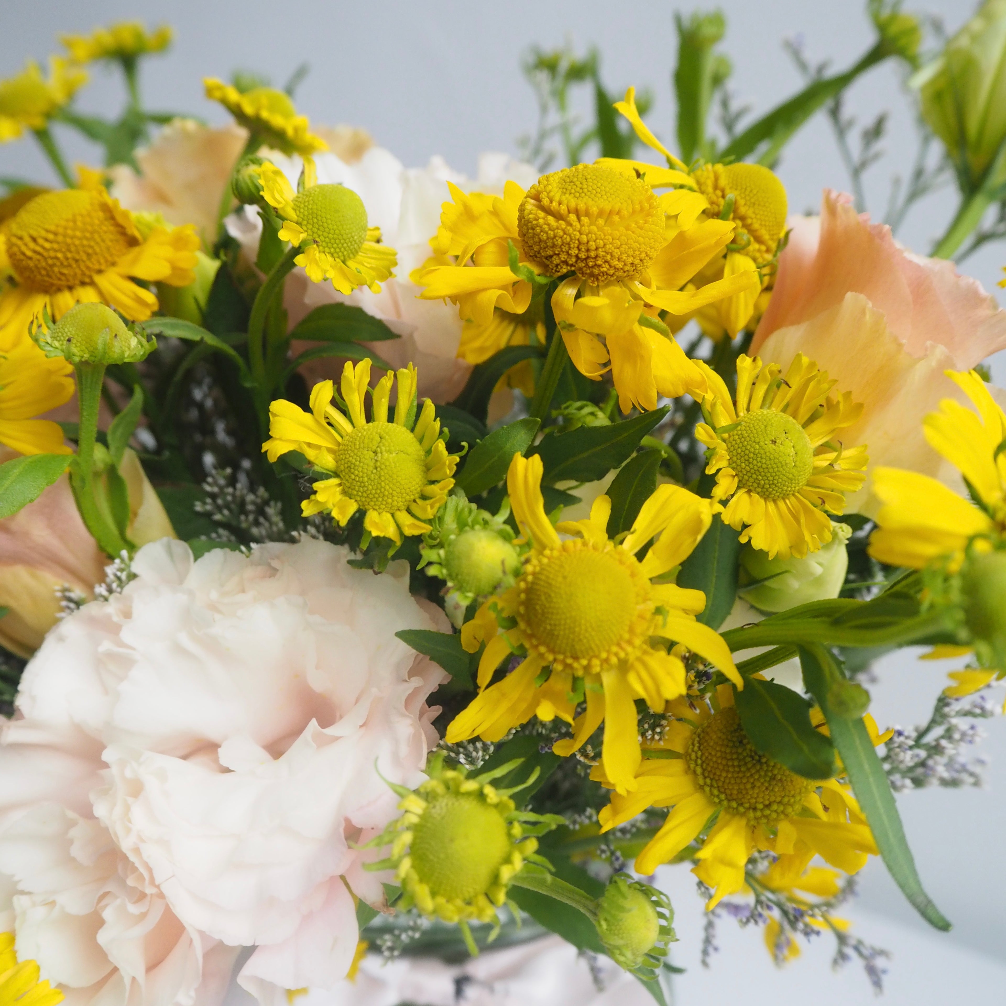Flash Sale Flower