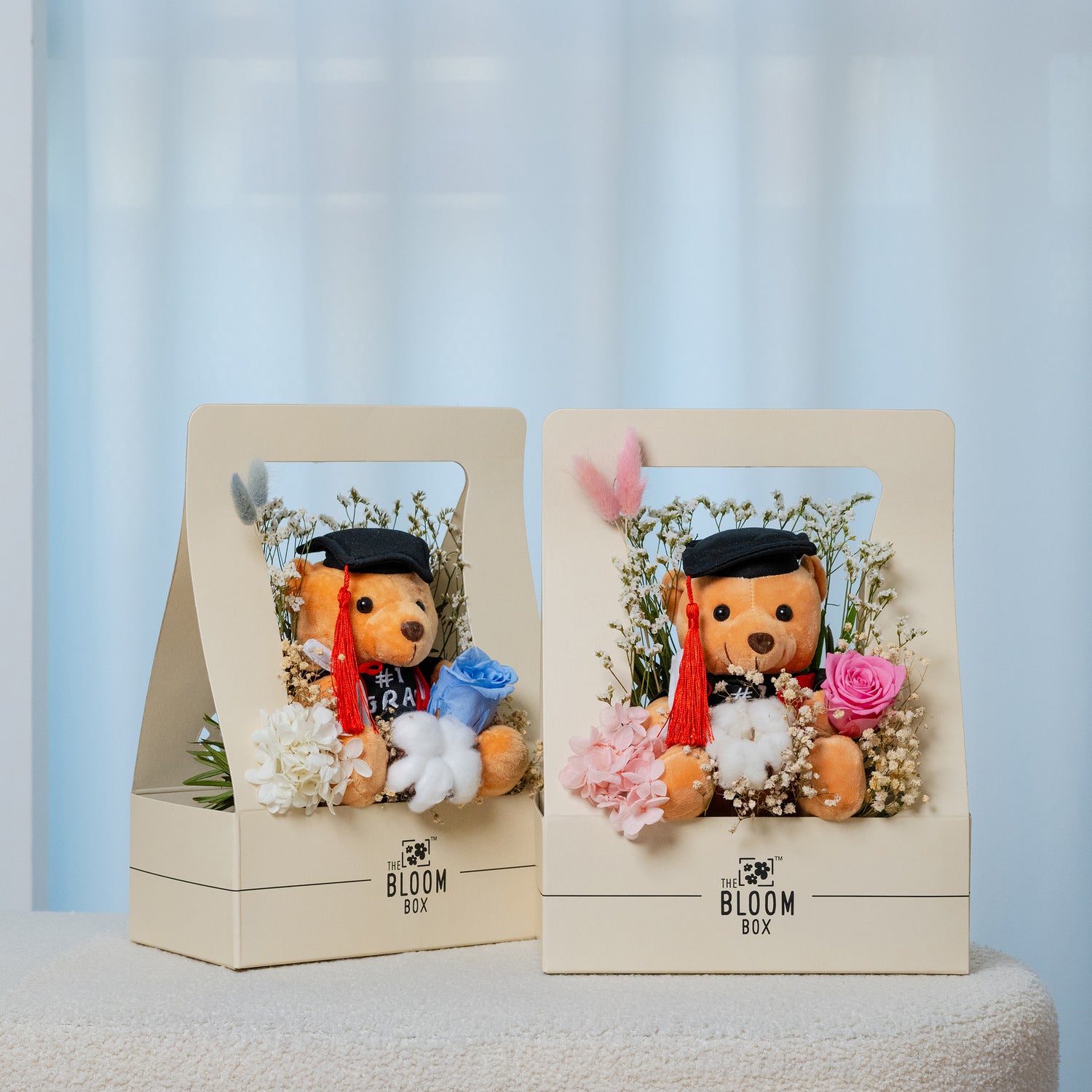 grad bear in bloom boxes