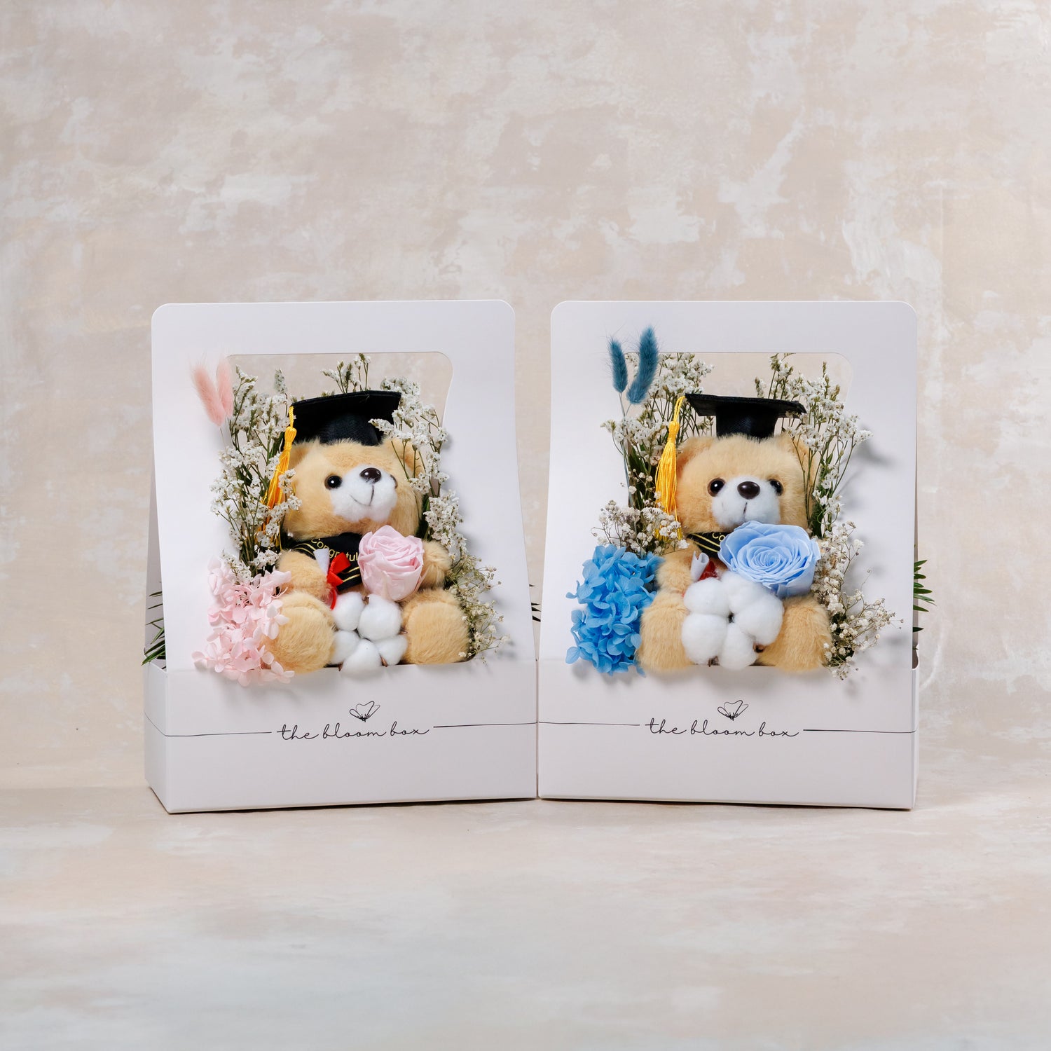 Graduation Bear Bloom Box