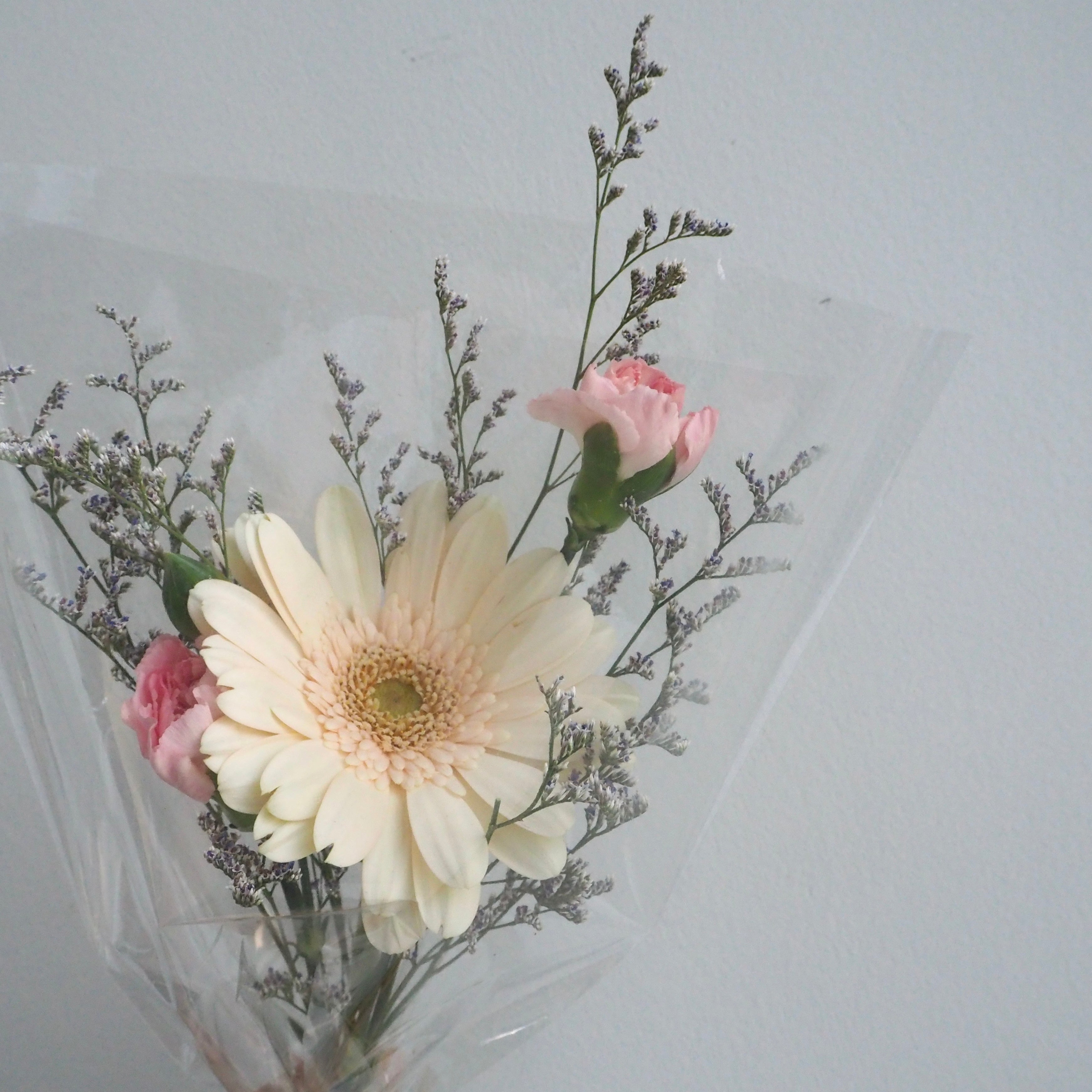 close up of gerbera for teacher&
