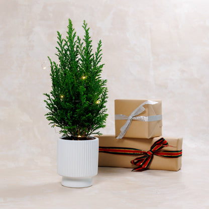 Mini Christmas Tree Plant Vase
