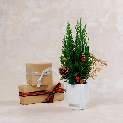 Mini Christmas Tree Plant Vase