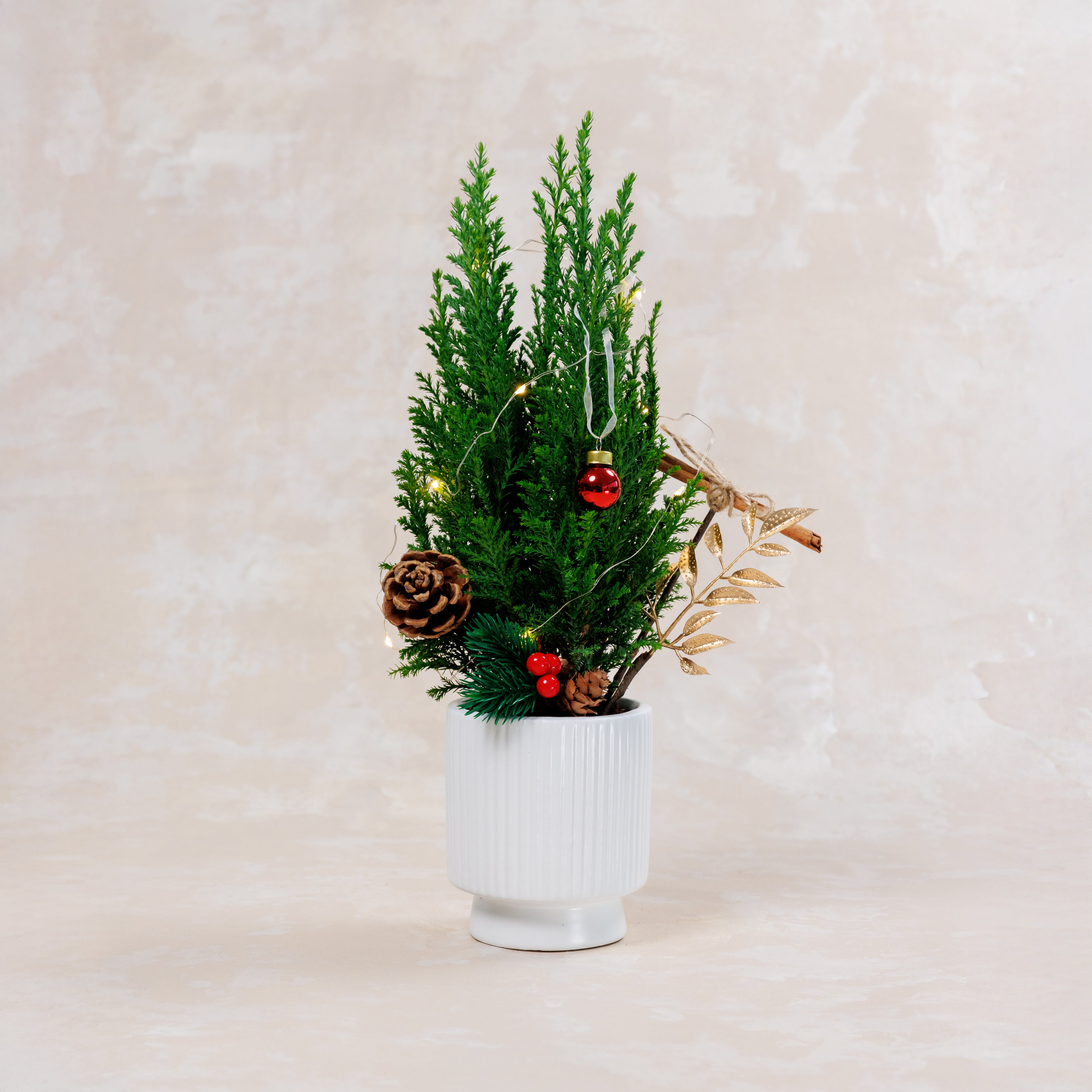 Mini Christmas Tree Plant Vase