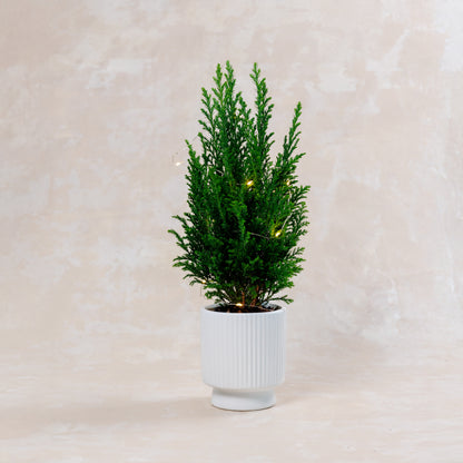 Mini Christmas Tree Plant Vase