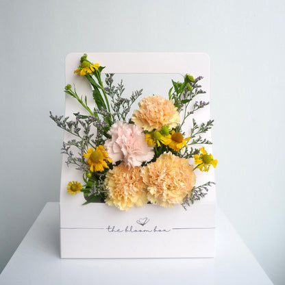 The Bloom Box of Mother&
