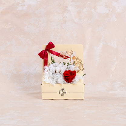 The Baby Bloom Box of Mother&