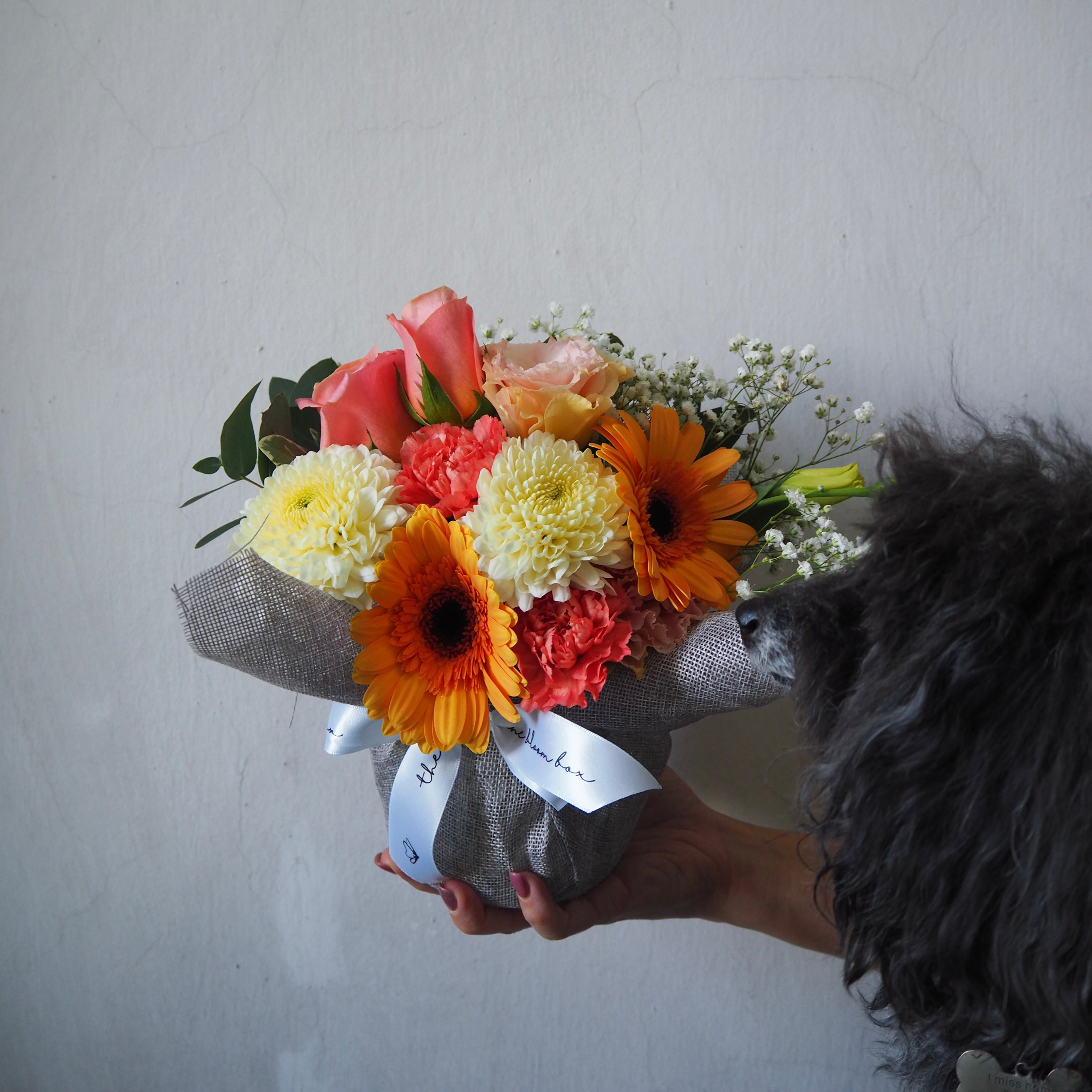 The Bloom Box of the Day