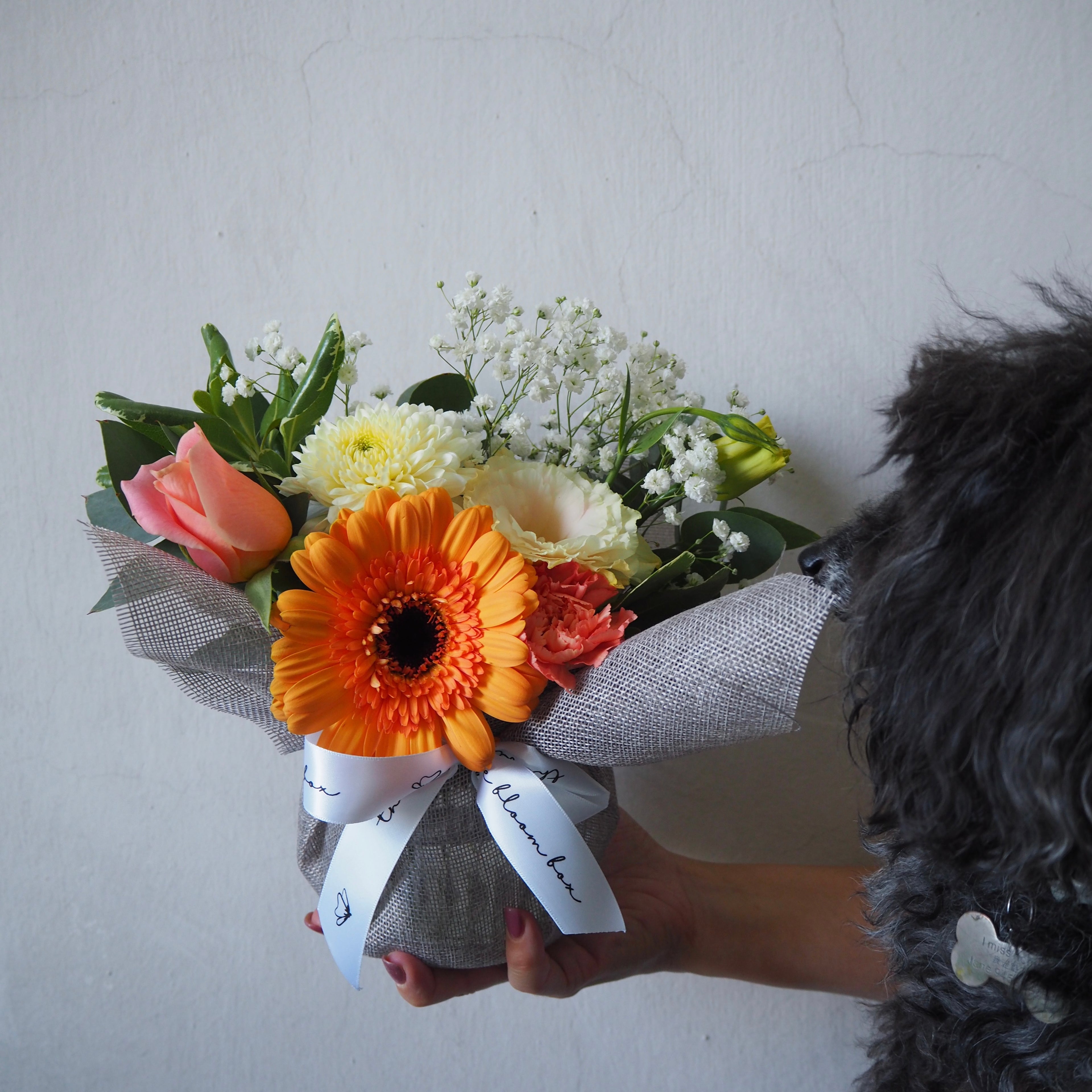 The Bloom Box of the Day