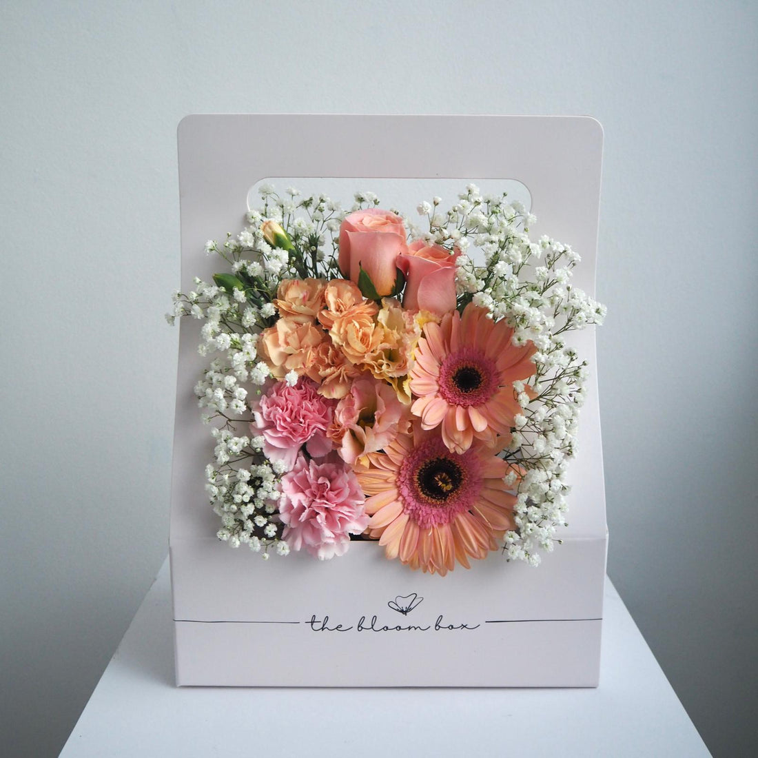 The Bloom Box of the Day