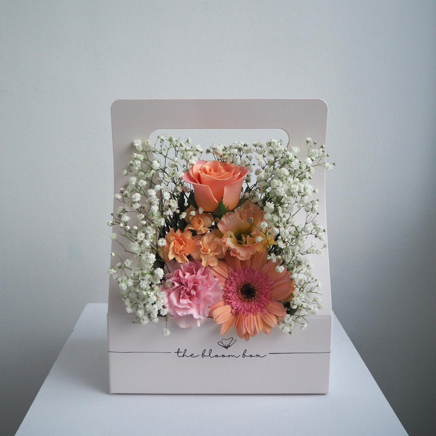 The Bloom Box of the Day