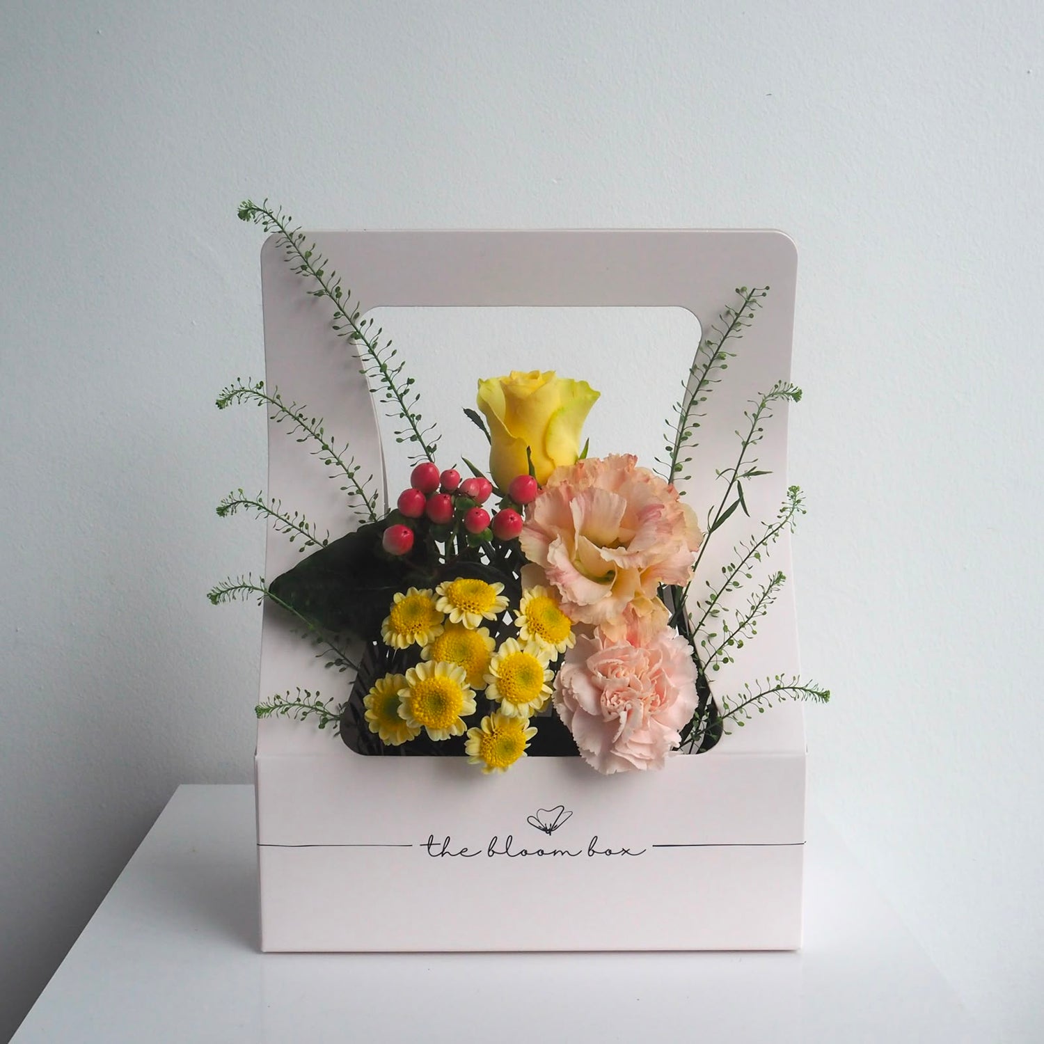 The Bloom Box of the Day