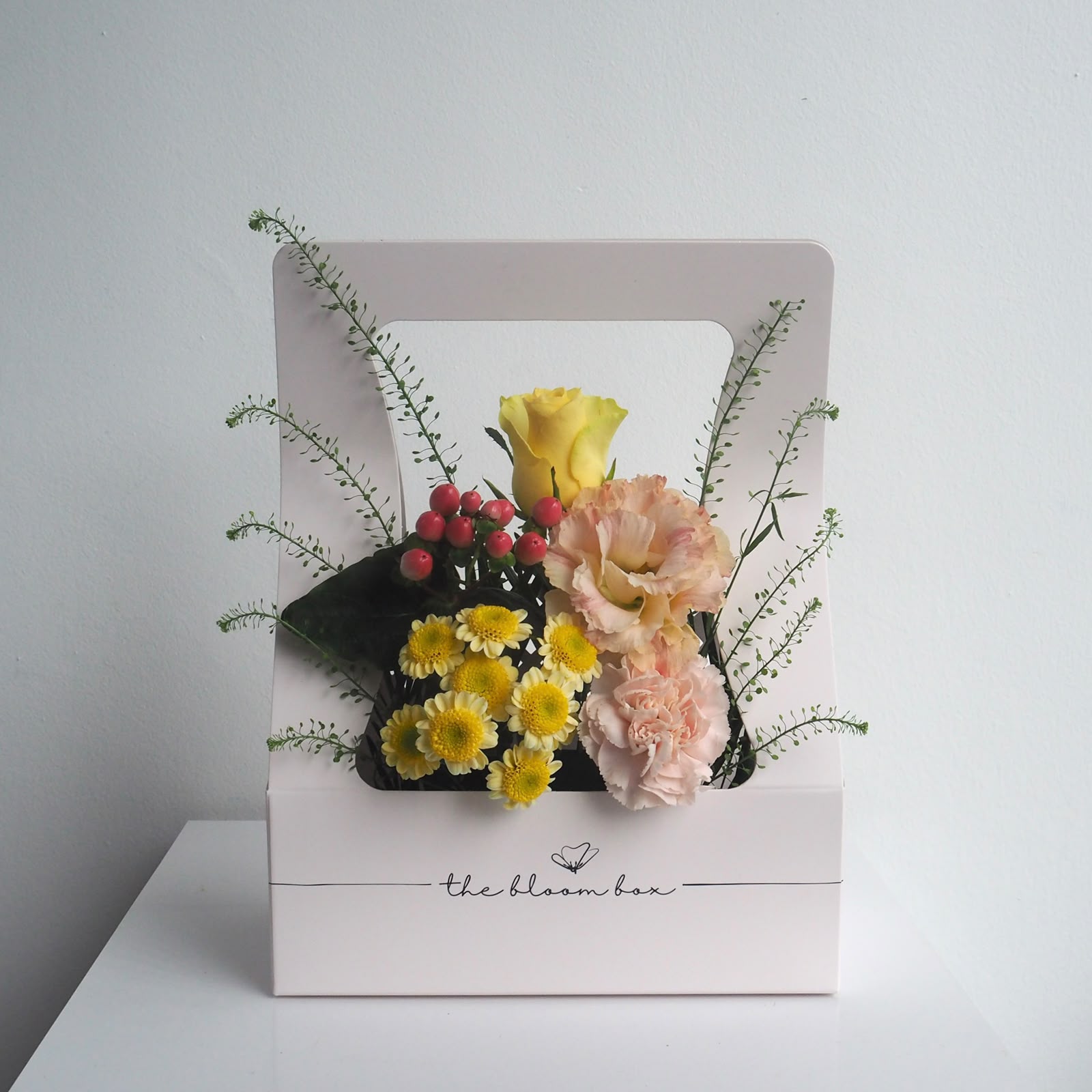 The Bloom Box of the Day