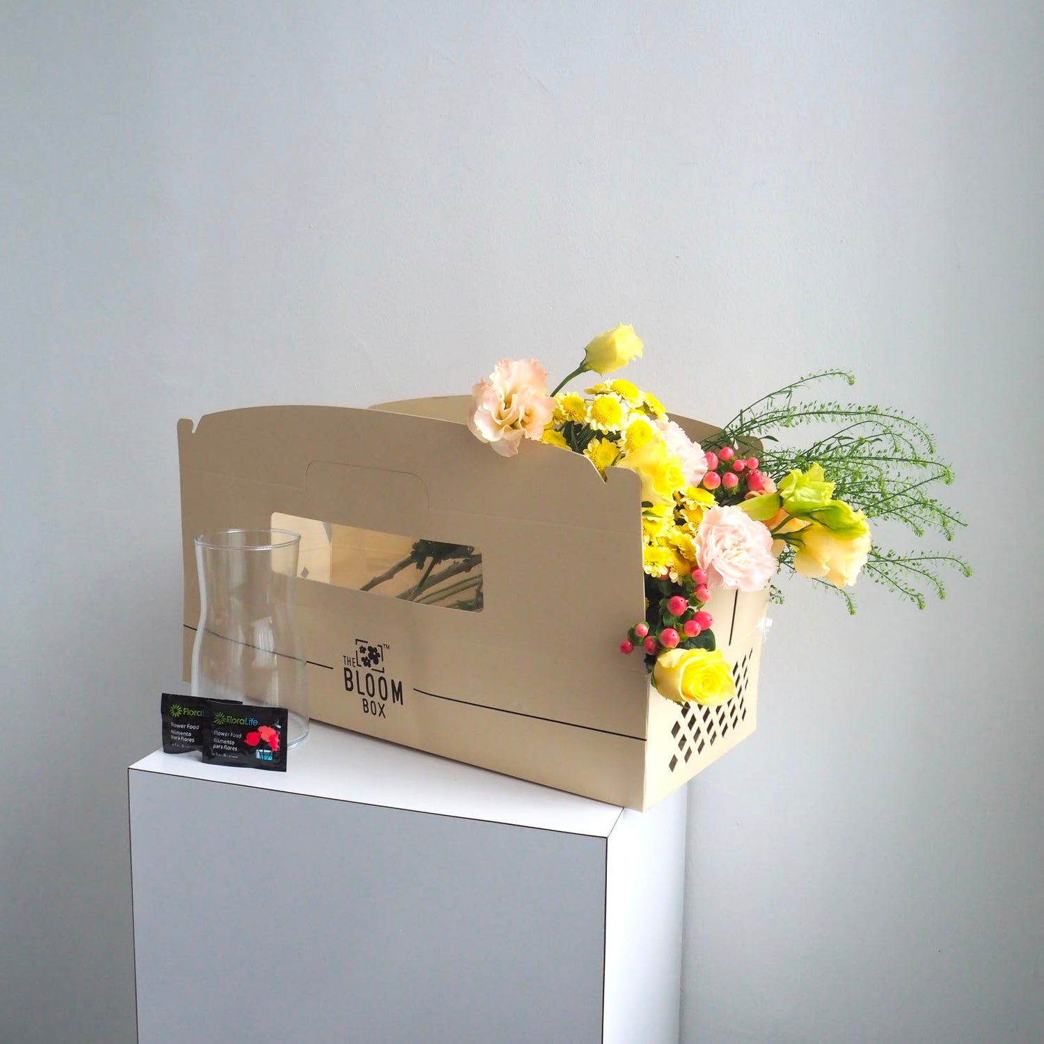 The Bloom Box of the Day