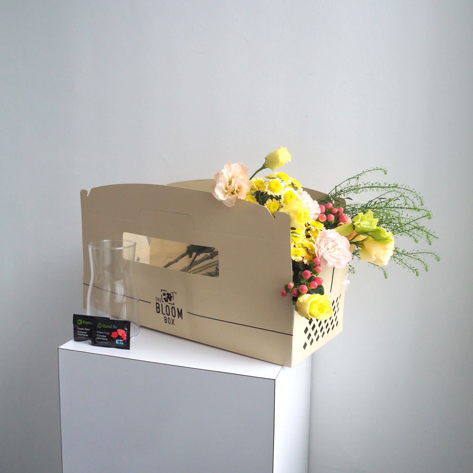 The Bloom Box of the Day