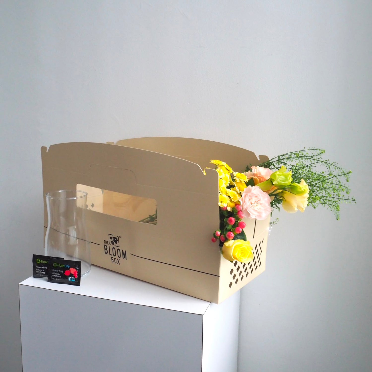 The Bloom Box of the Day