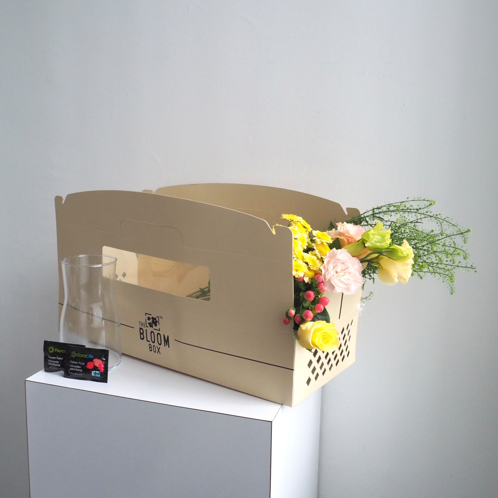 The Bloom Box of the Day