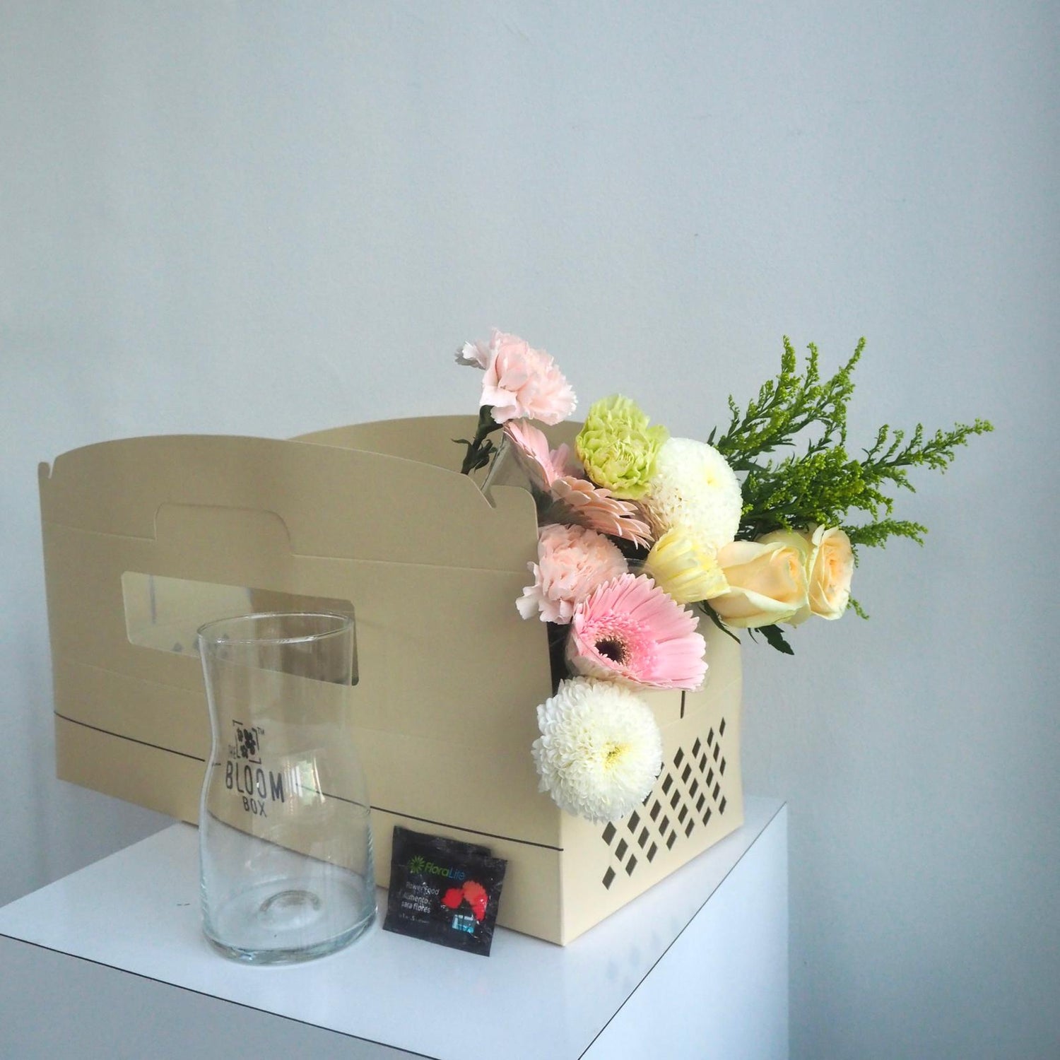 The Bloom Box of the Day