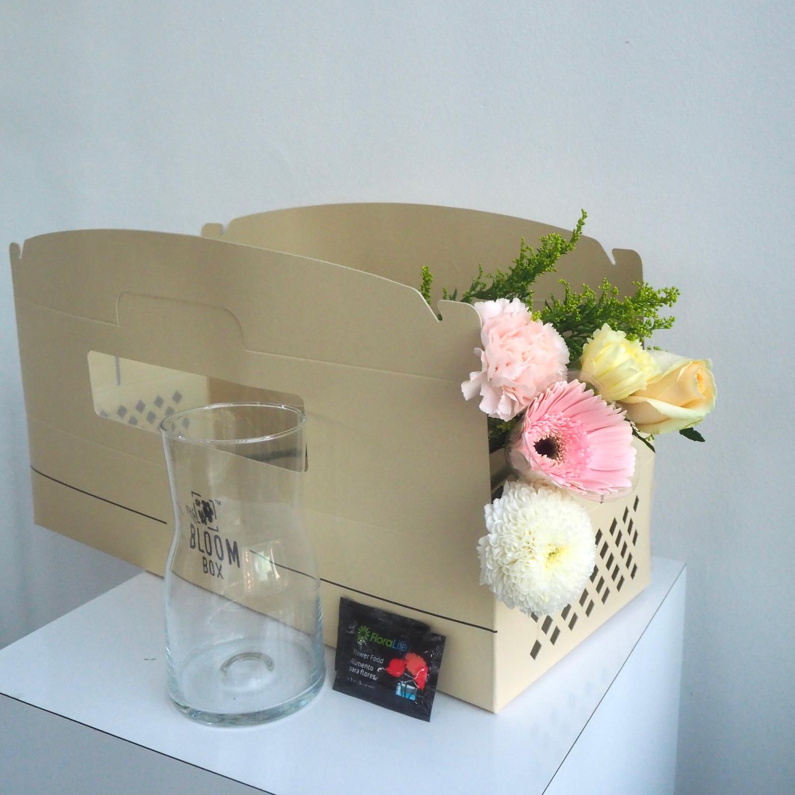The Bloom Box of the Day