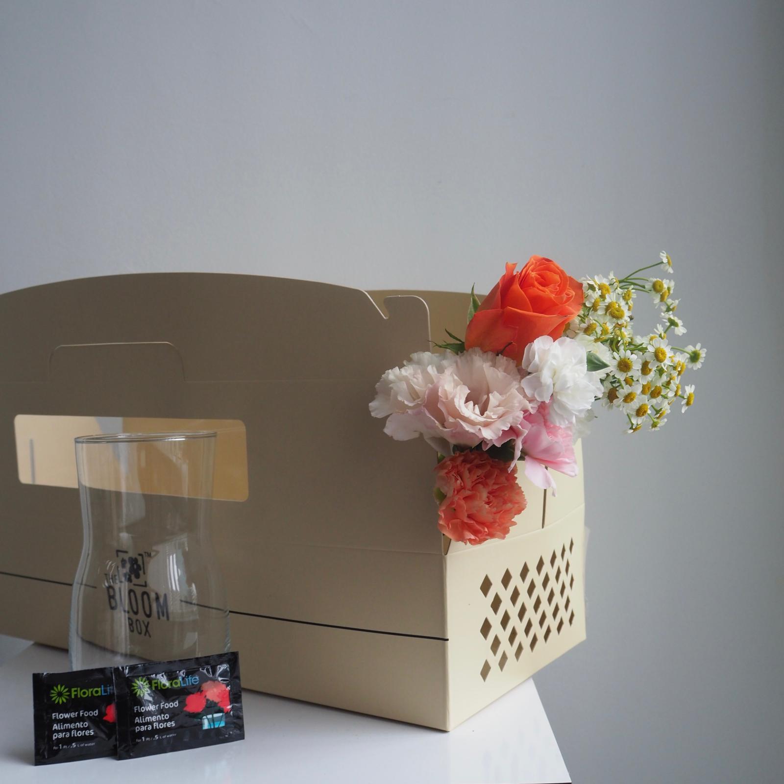 The Bloom Box of the Day