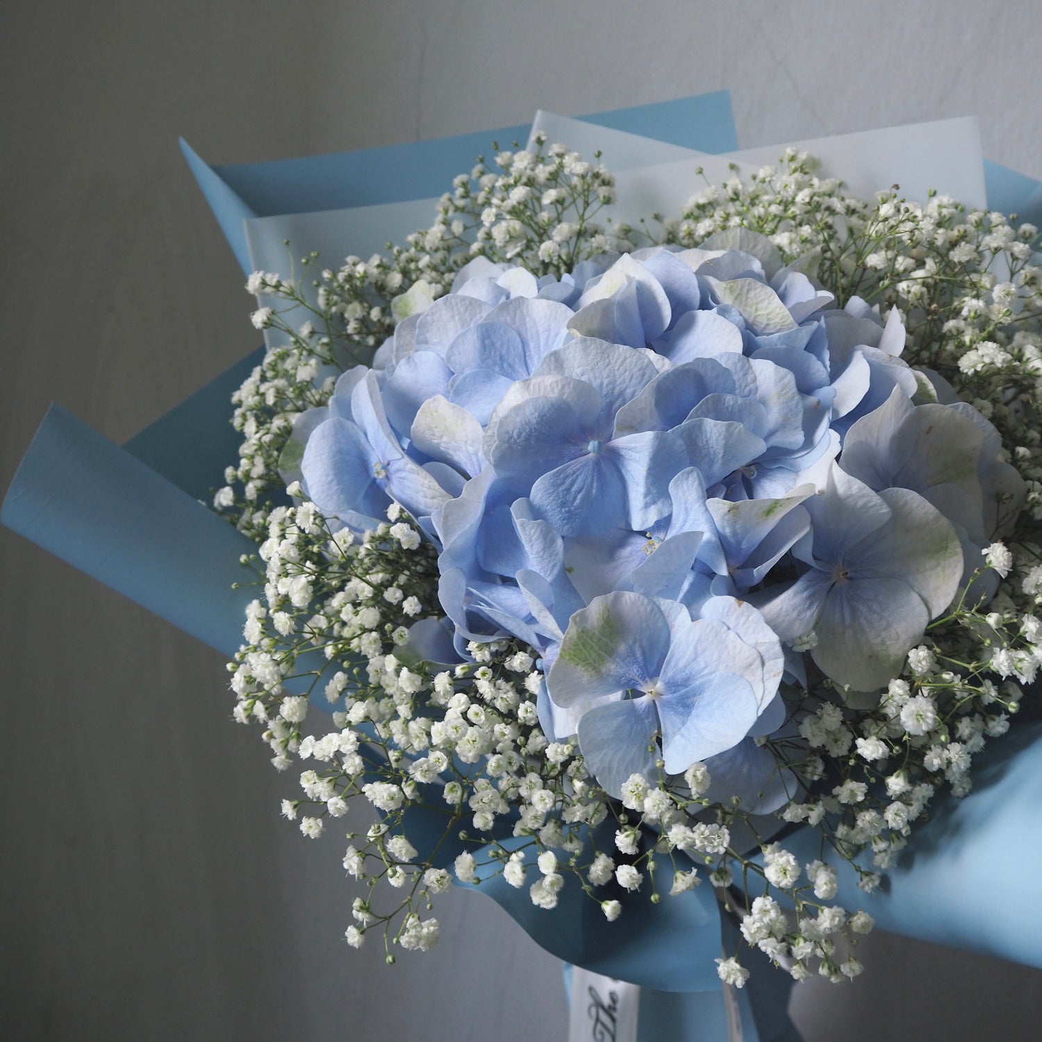 blue hydrangea with baby&